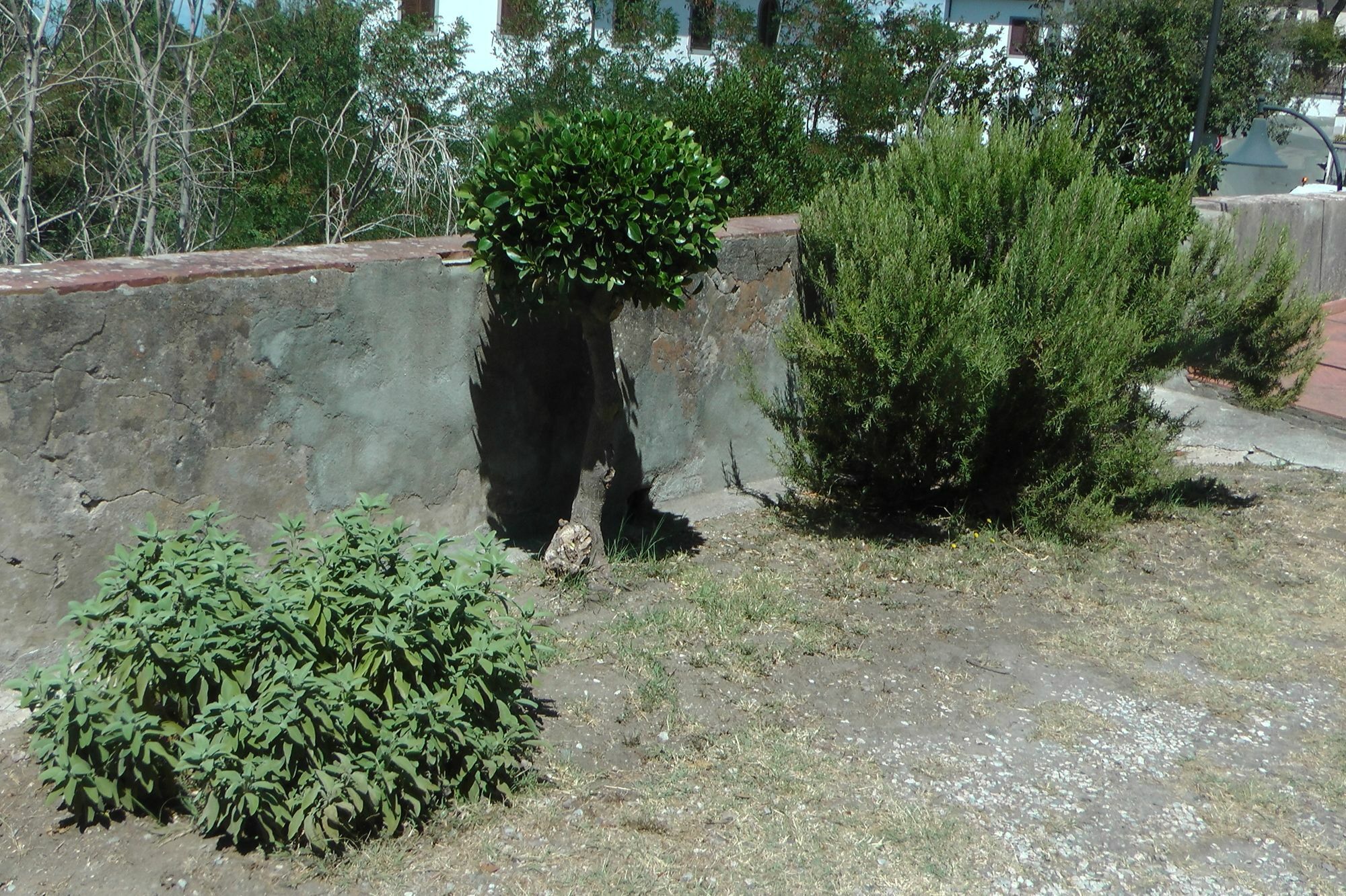 Ferienhaus Villa Della Querceta Livorno Dış mekan fotoğraf